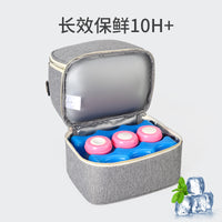 Double Layer Breast Milk Cooler Bag Insulated Lunch Tote for Nursing Moms