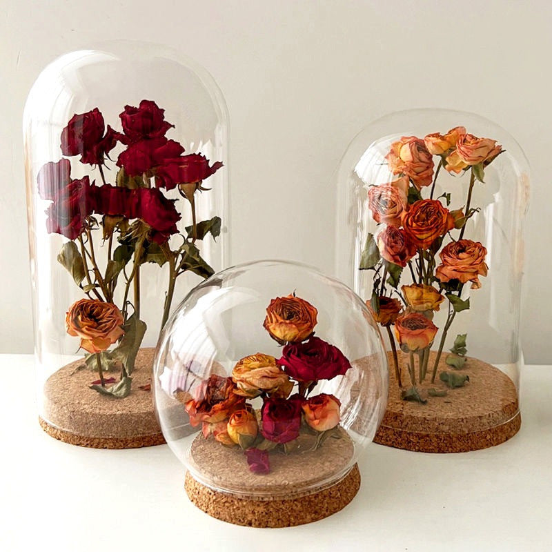 DIY Glass Dome Display with Cork Base for Dried Flowers Figurines Keepsakes