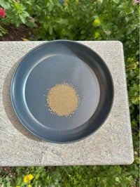 Outdoor Garden Iron Bird Feeder Tray Bird Bath