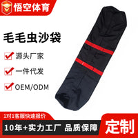 Caterpillar Sandbag for Group Fitness and Strength Training