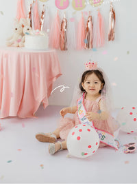 Baby Girl's First Birthday Party Dress-Up Set for Photography and Events