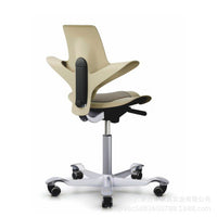 Ergonomic Saddle Stool with Lumbar Support for Office and Study