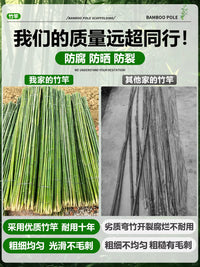 Durable Anti-Corrosion Bamboo Poles for Garden Trellis, Flagpoles, Cucumber and Bean Climbing Vines, and Fences