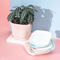 Thickened Plastic Square Drip Tray for Succulent Pots