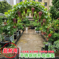 Stainless Steel Garden Arch Trellis for Climbing Plants, Outdoor Rose Arbor Support, Vegetable Pergola Frame