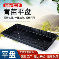 PET Seedling Trays for Vegetables, Peppers, Corn, and Cuttings - Thickened Disposable Nursery Pots