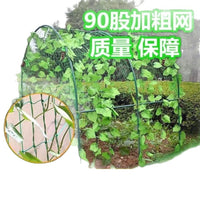 Plant Trellis Netting for Climbing Vines, Fruits, and Flowers