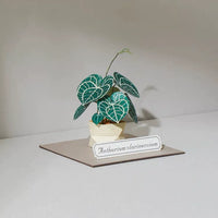 Jeancard 3D Laser Cut Paper Model Kit - Mini Anthurium Plant