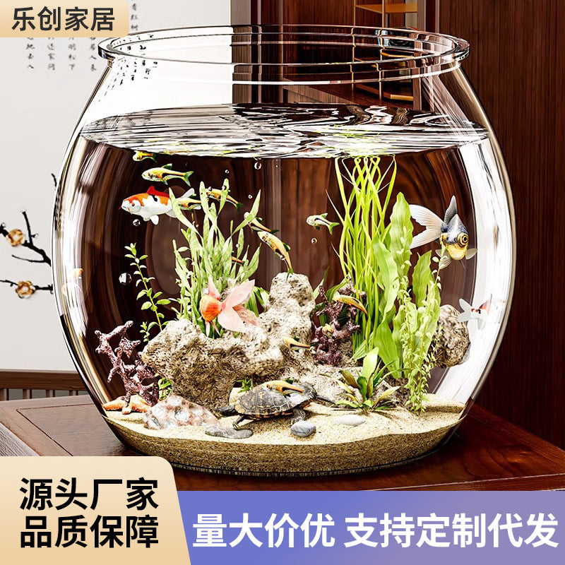 Clear Plastic Fish Tank Aquarium for Micro-Landscape and Turtle Habitat, Shatterproof Office Decor