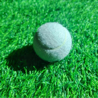 Beginner Training White Tennis Ball with Elastic Rope for Practice