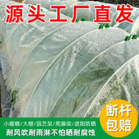 Fiberglass Plant Support Stakes for Climbing Vegetables and Fruits