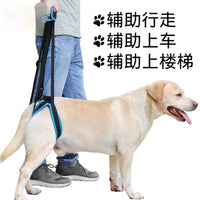 Pet Dog Rear Leg Support Harness for Injury Rehabilitation & Mobility Aid