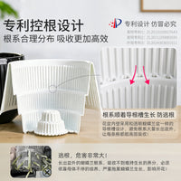 Orchid Pot Double-Layer Breathable Root Control Planter for Hydroponics and Moss Culture