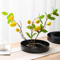Round Kenzan Ikebana Flower Holder for Floral Arrangements