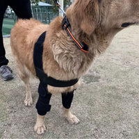 Pet Dog Leg Brace for Joint Support and Injury Recovery - Canine Knee and Hock Protector for Small to Large Dogs