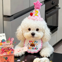 Pet Birthday Bandana Bib and Hat Set for Dogs and Cats, Cute Photo Prop Costume