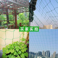 Plant Trellis Netting for Climbing Vines, Fruits, and Flowers
