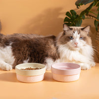 Silicone Non-Slip Pet Bowl for Cats and Small Dogs, Puppy Food and Water Dish