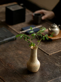 Wabi-Sabi Ceramic Hydroponic Vase for Dried Flowers and Home Decor