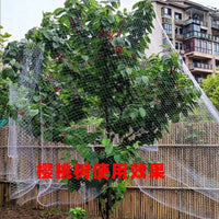 Nylon Anti-Bird Netting for Orchard and Garden Protection