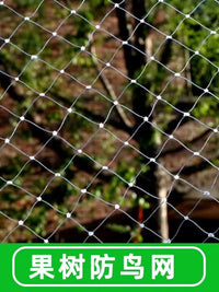 Nylon Anti-Bird Netting for Fruit Trees, Gardens, and Ponds - UV Resistant Protective Mesh
