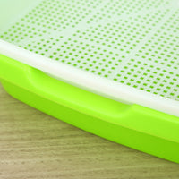 Hydroponic Seedling Tray for Home Use, Soilless Cultivation of Wheatgrass, Cat Grass, and Bean Sprouts