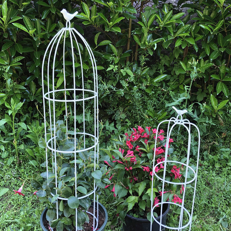 Decorative Birdcage Iron Art Plant Stand for Climbing Vines and Roses, Indoor/Outdoor Garden Trellis