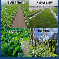 Fiberglass Greenhouse Hoops for Vegetable Garden Tunnels - 30 Pack
