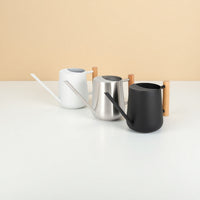 Stainless Steel Long Spout Watering Can with Wooden Handle for Indoor Plants