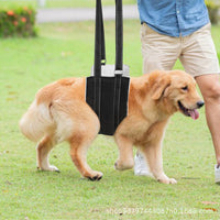 Pet Dog Support Harness for Rehabilitation and Mobility Assistance