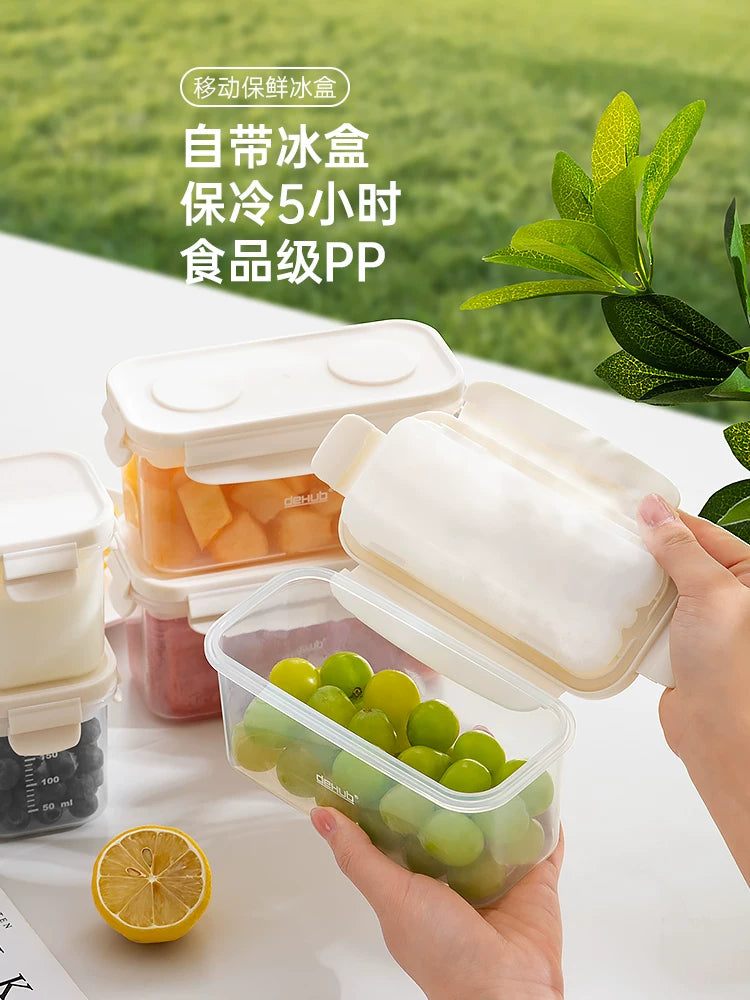 Portable Insulated Lunch Box with Ice Pack for Outdoor Picnics and Food Storage