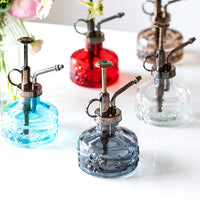 Vintage Mini Glass Plant Mister with Pump for Indoor Gardening and Potted Plants