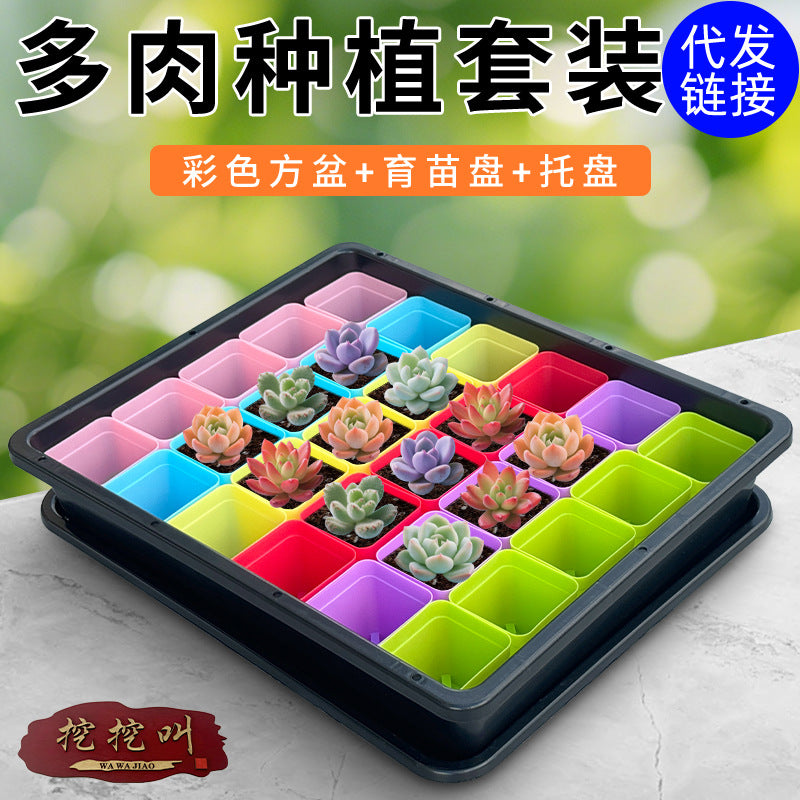 Succulent Seedling Tray Set with Square Pots and Drip Tray