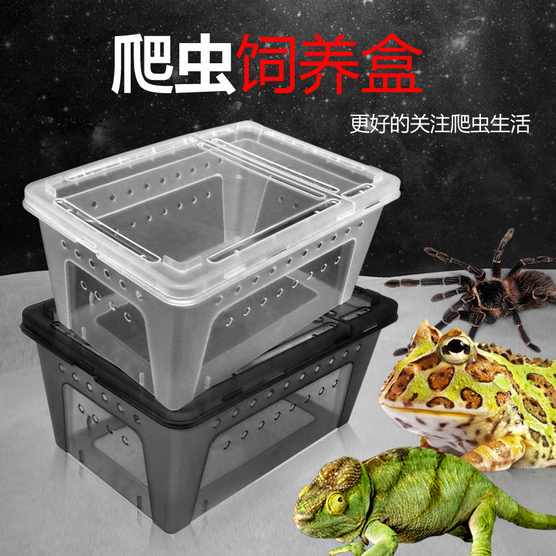 Reptile Terrarium with Basking Platform for Turtles, Spiders, Crabs, Frogs, Geckos, and Insects