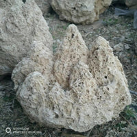 Natural Absorbent Stone for Miniature Landscapes and Garden Decor