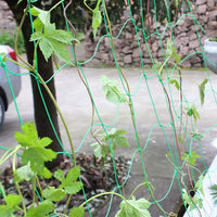 Plant Trellis Netting for Climbing Vegetables and Fruits