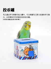 Parrot Chew Toys for Small to Medium Birds - Relieves Stress, Grinding Teeth, and Provides Entertainment