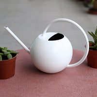 Long Spout Stainless Steel Watering Can for Indoor Plants & Bonsai, 1000ml
