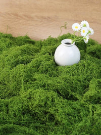 Artificial Silk Moss Micro Landscape Decoration, Fake Moss Lawn Plush Ornaments, Soft Decor Material