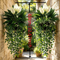 Artificial Mandevilla Potted Hanging Vine for Indoor Wall Decor