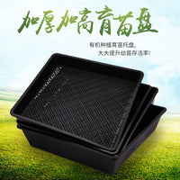 Roof Garden Succulent Planter Tray Square Rectangular Seedling Tray for Sedum and Vegetable Cultivation
