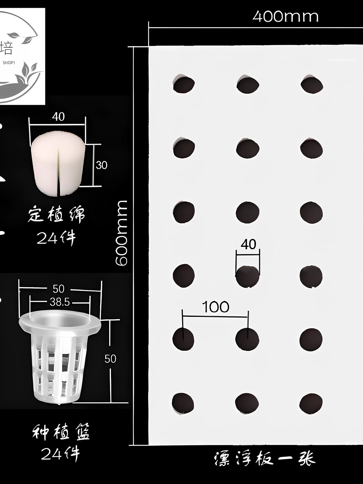 Hydroponic Floating Raft System for Soilless Vegetable Cultivation