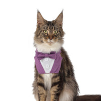 TANPOPO Pet Bandana Scarf with Hook and Loop Closure for Dogs and Cats