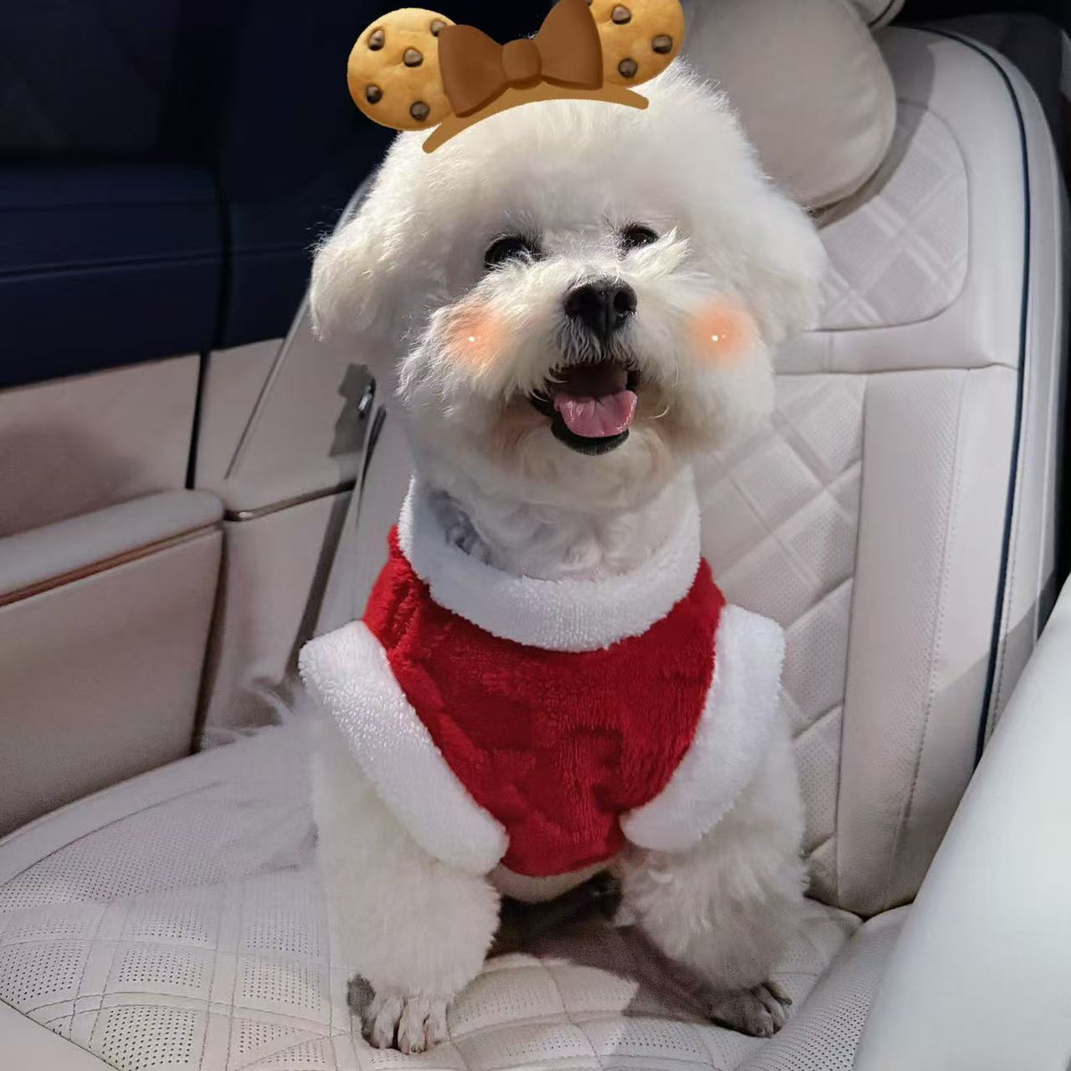 Pet Chinese New Year Winter Warm Costume for Small Dogs