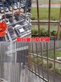 Galvanized Welded Wire Mesh Fence for Poultry and Pet Enclosures