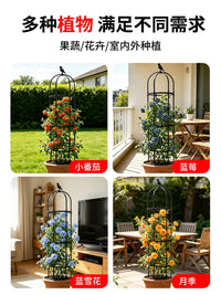 Garden Trellis for Climbing Plants, Round Iron Art Support for Roses, Clematis, and Pothos, Outdoor Plant Climbing Frame