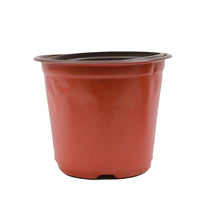 Two-Tone PE Soft Plastic Nursery Pots for Succulents and Seedlings