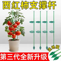 Adjustable Plant Support Stakes for Tomatoes, Cucumbers, and Climbing Vines