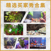 Natural Volcanic Rock and Stream Stone Aquarium Substrate for Fish Tank Decoration and Filtration