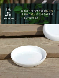 Plastic Plant Pot Saucer for Succulents and Green Plants, Square/Round, Multi-color, Various Sizes